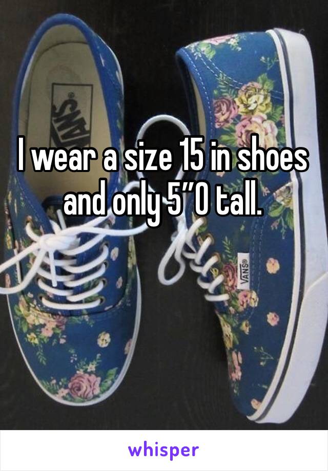 I wear a size 15 in shoes and only 5”0 tall.