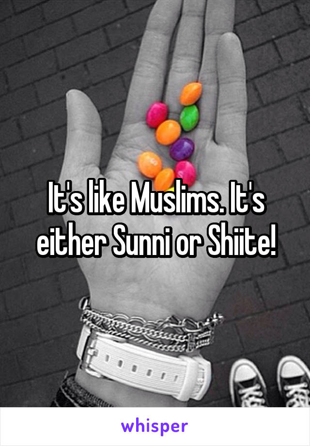 It's like Muslims. It's either Sunni or Shiite!