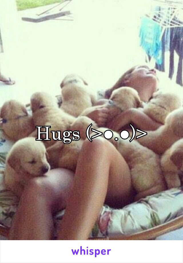 Hugs (>●.●)>