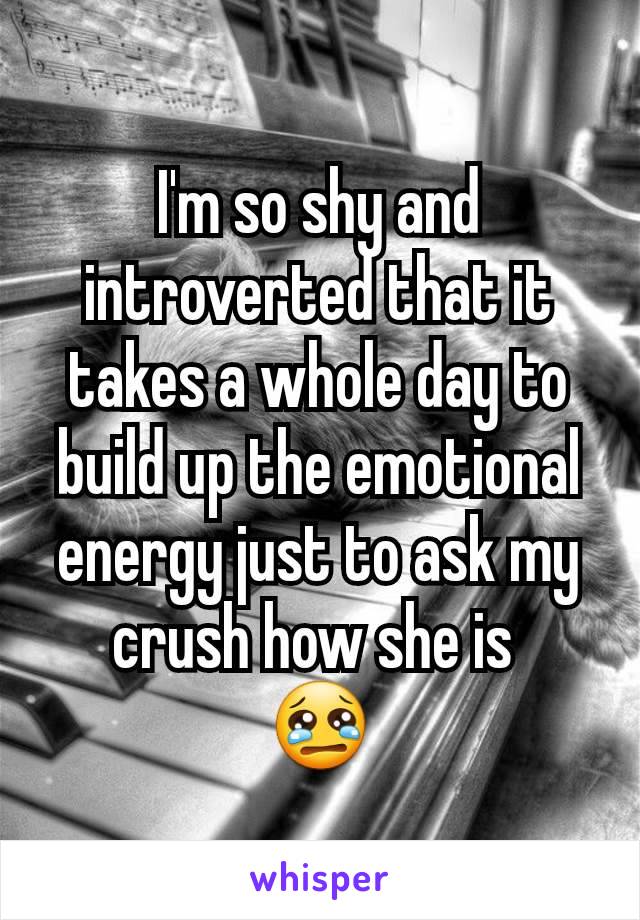 I'm so shy and introverted that it takes a whole day to build up the emotional energy just to ask my crush how she is 
ðŸ˜¢