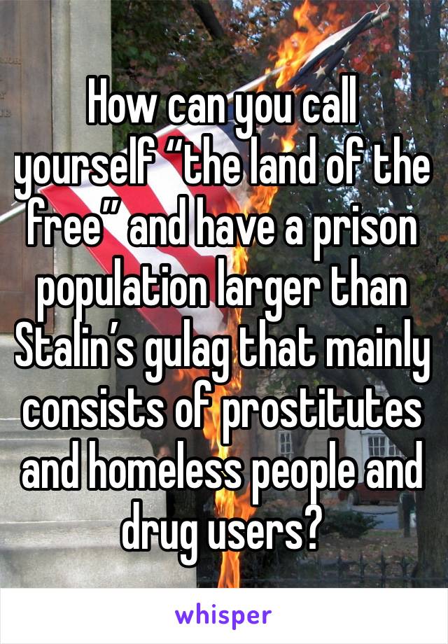 How can you call yourself “the land of the free” and have a prison population larger than Stalin’s gulag that mainly consists of prostitutes and homeless people and drug users?