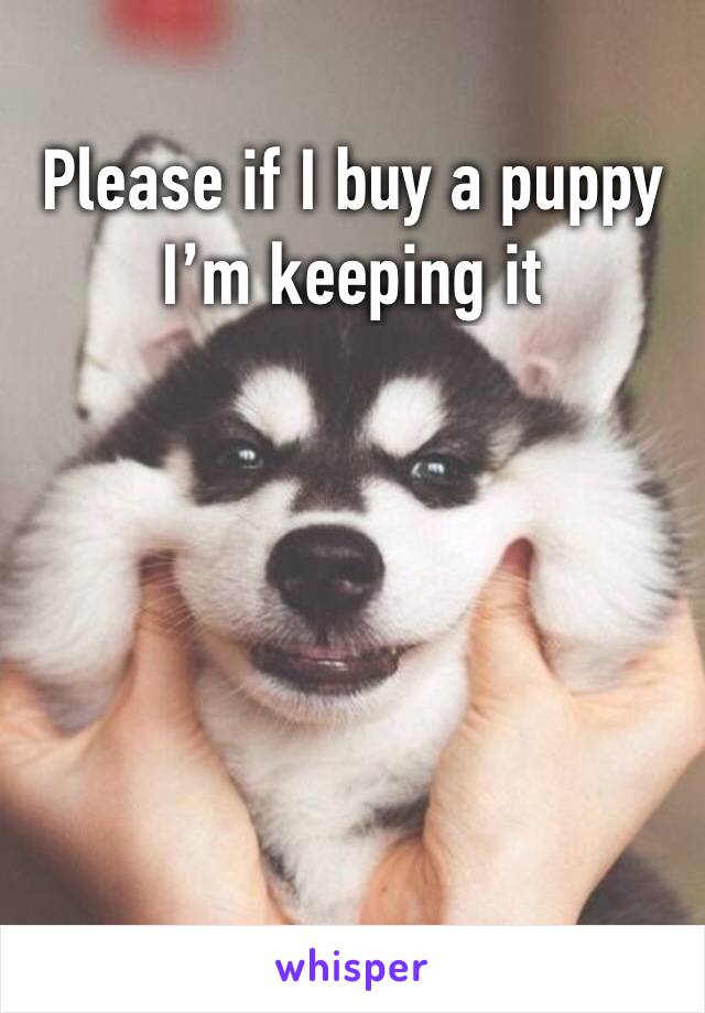 Please if I buy a puppy I’m keeping it 