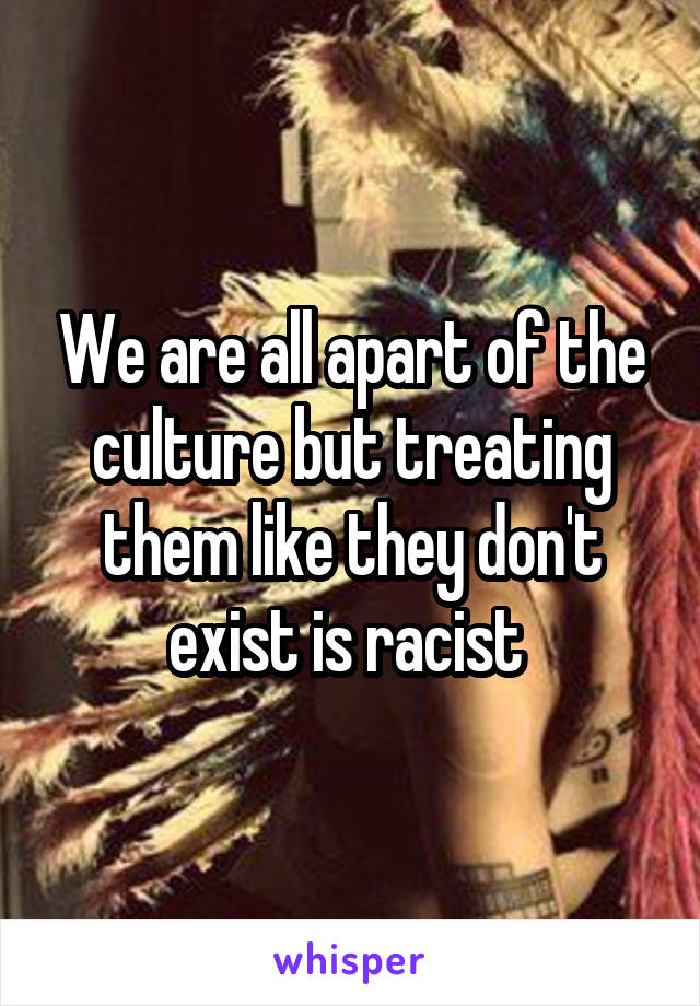 We are all apart of the culture but treating them like they don't exist is racist 