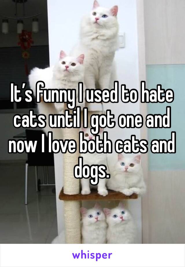 It’s funny I used to hate cats until I got one and now I love both cats and dogs. 