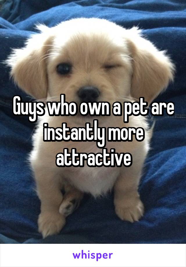 Guys who own a pet are instantly more attractive