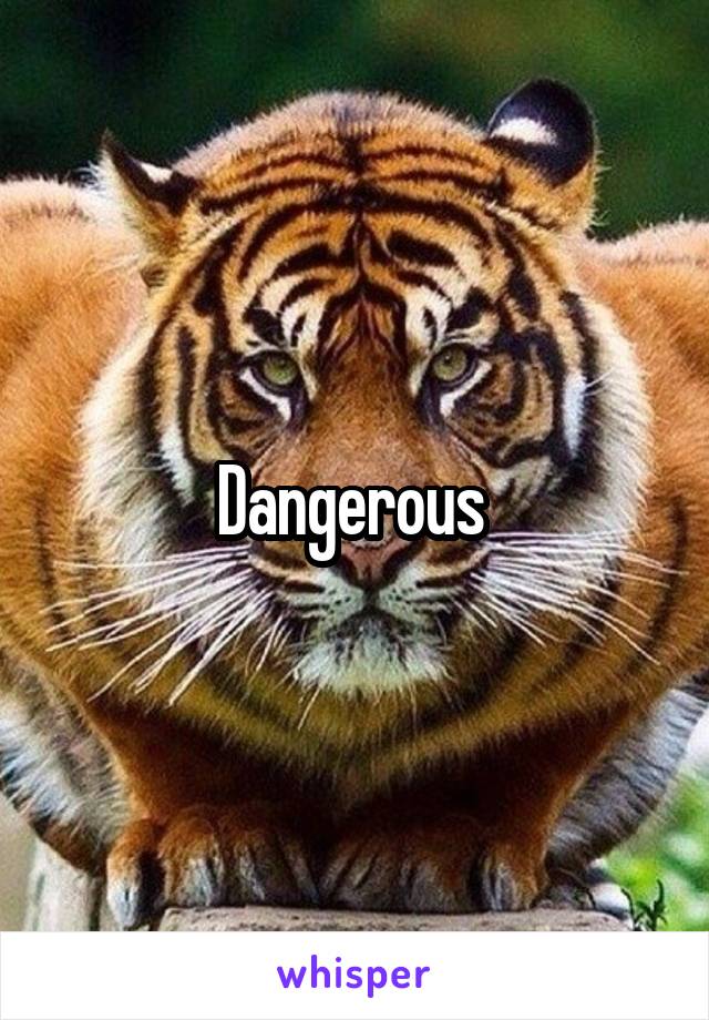 Dangerous 