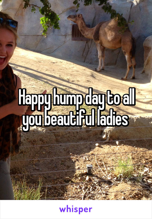 Happy hump day to all you beautiful ladies 