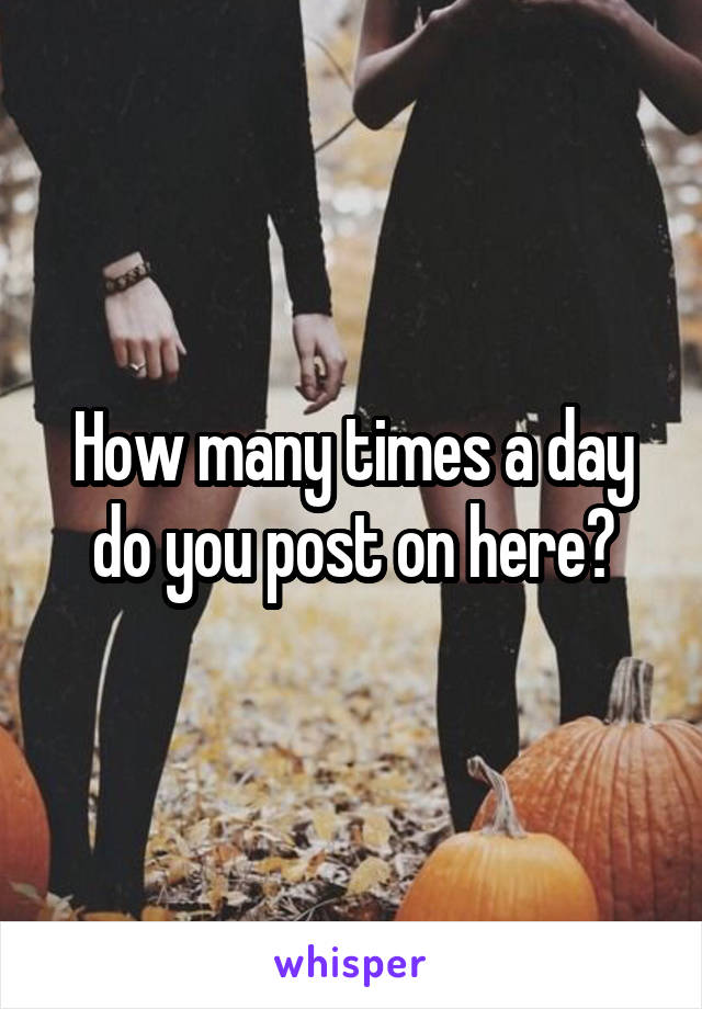 How many times a day do you post on here?