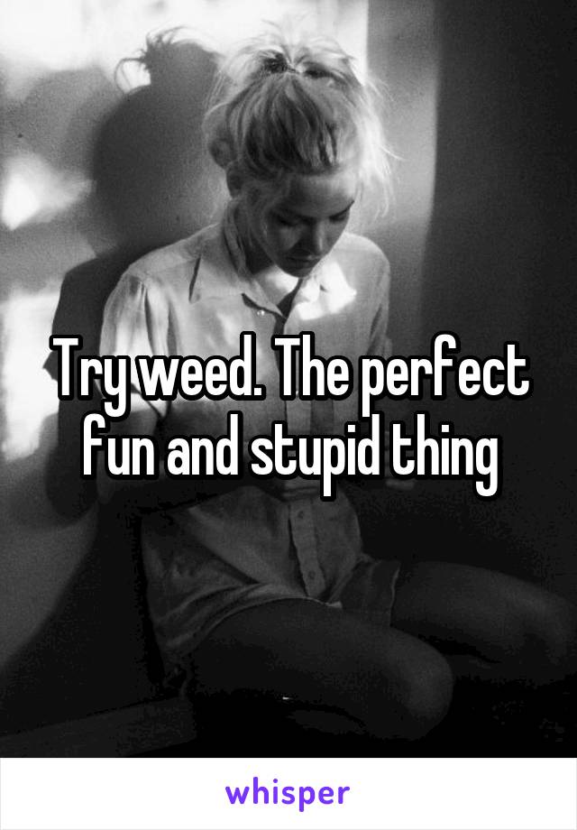 Try weed. The perfect fun and stupid thing