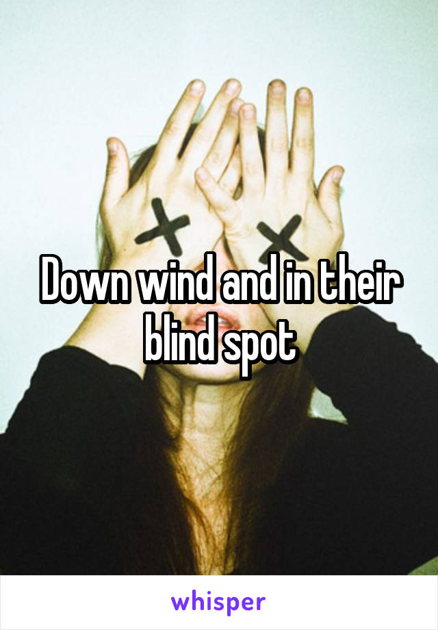 Down wind and in their blind spot