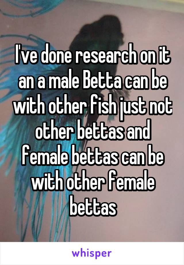 I've done research on it an a male Betta can be with other fish just not other bettas and female bettas can be with other female bettas
