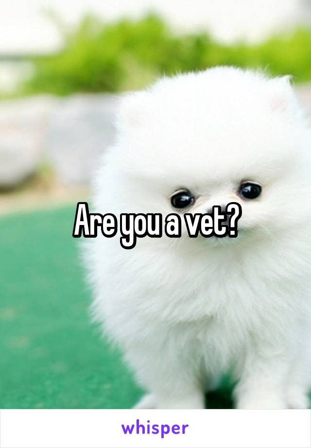 Are you a vet?