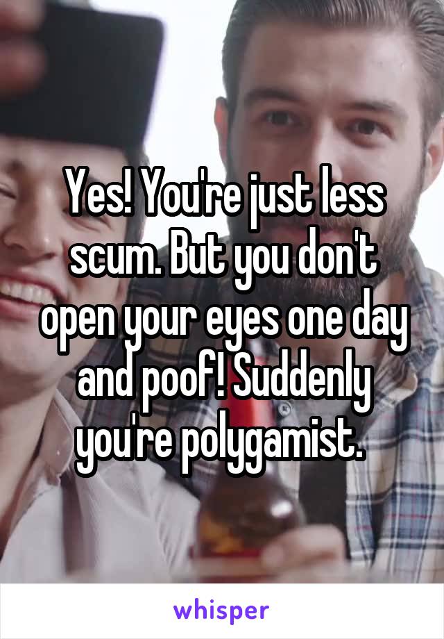 Yes! You're just less scum. But you don't open your eyes one day and poof! Suddenly you're polygamist. 