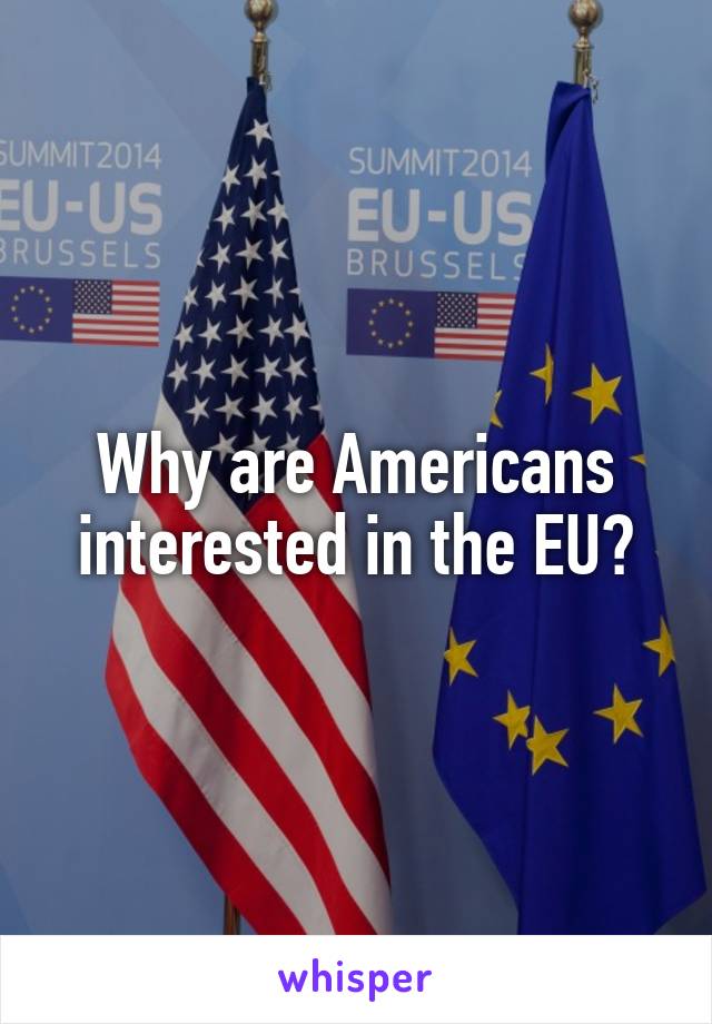 Why are Americans interested in the EU?