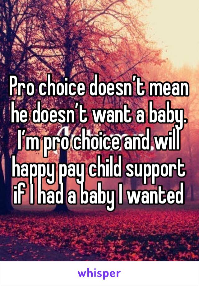 Pro choice doesn’t mean he doesn’t want a baby. I’m pro choice and will happy pay child support if I had a baby I wanted 