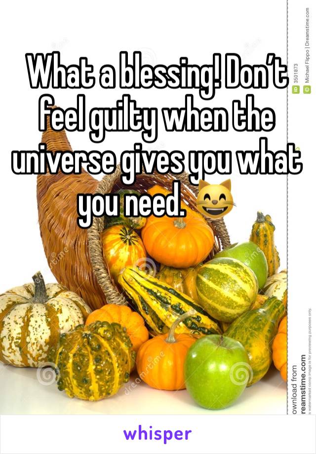 What a blessing! Don’t feel guilty when the universe gives you what you need. 😸