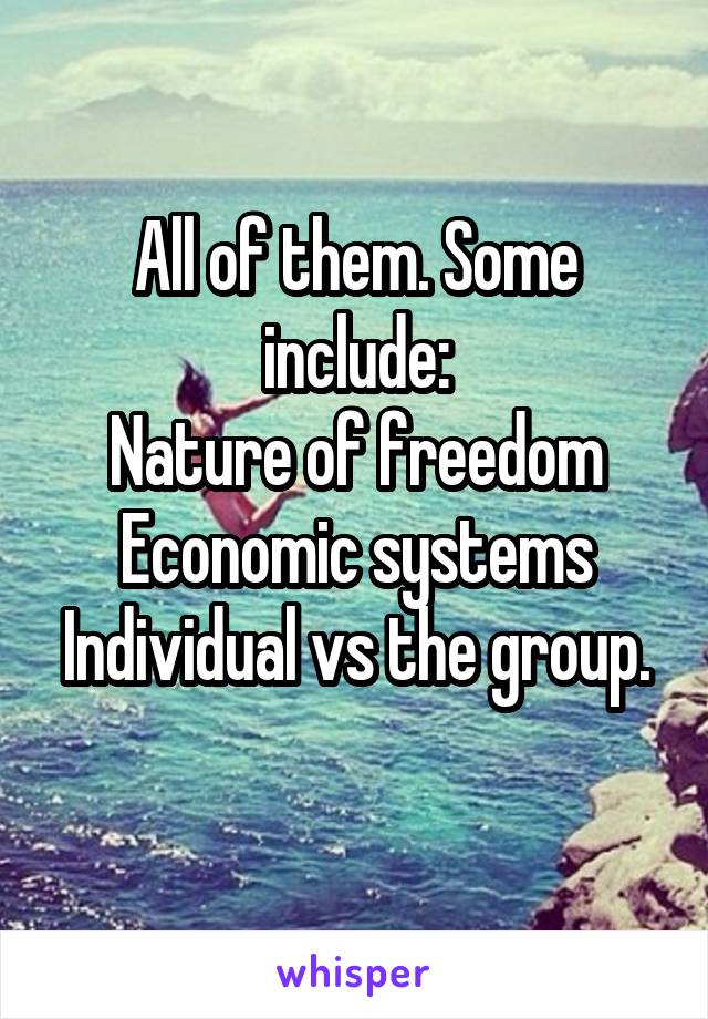 All of them. Some include:
Nature of freedom
Economic systems
Individual vs the group. 