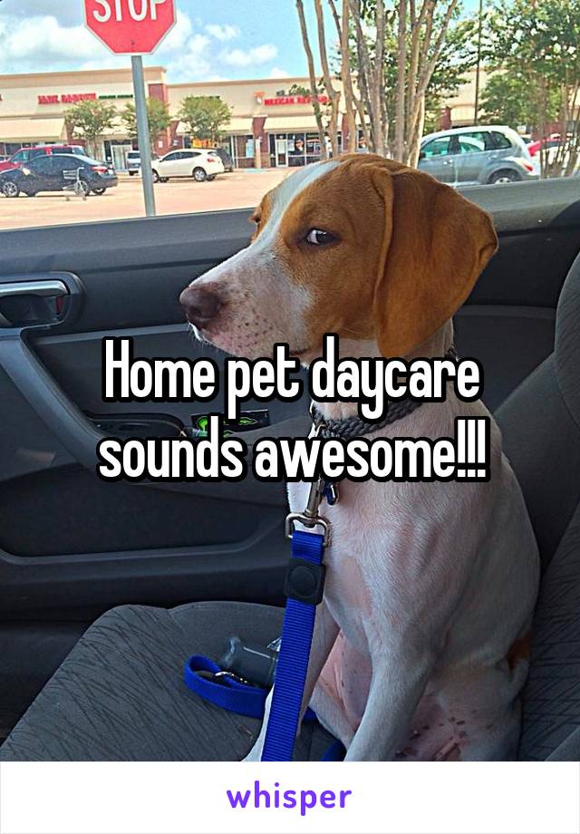 Home pet daycare sounds awesome!!!