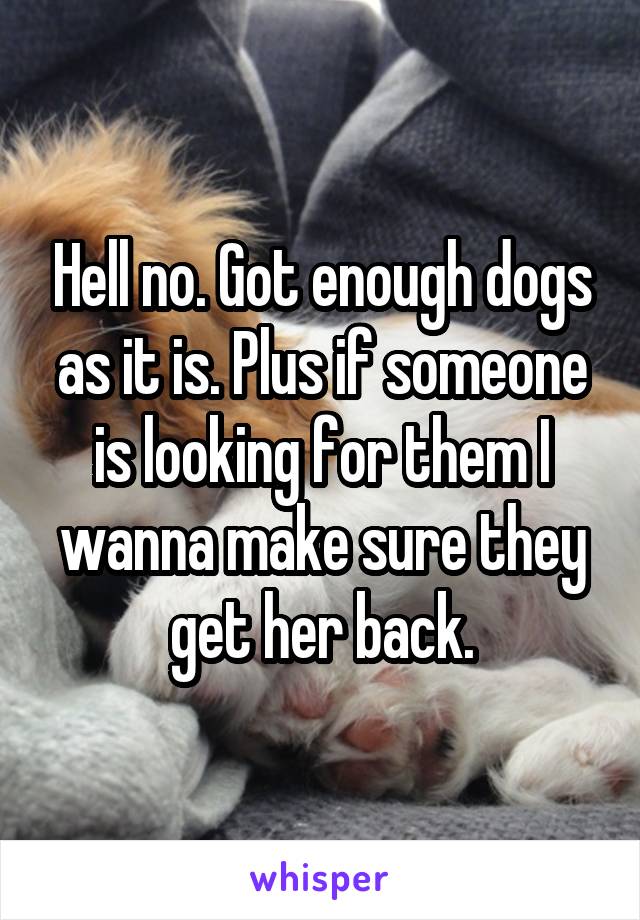 Hell no. Got enough dogs as it is. Plus if someone is looking for them I wanna make sure they get her back.