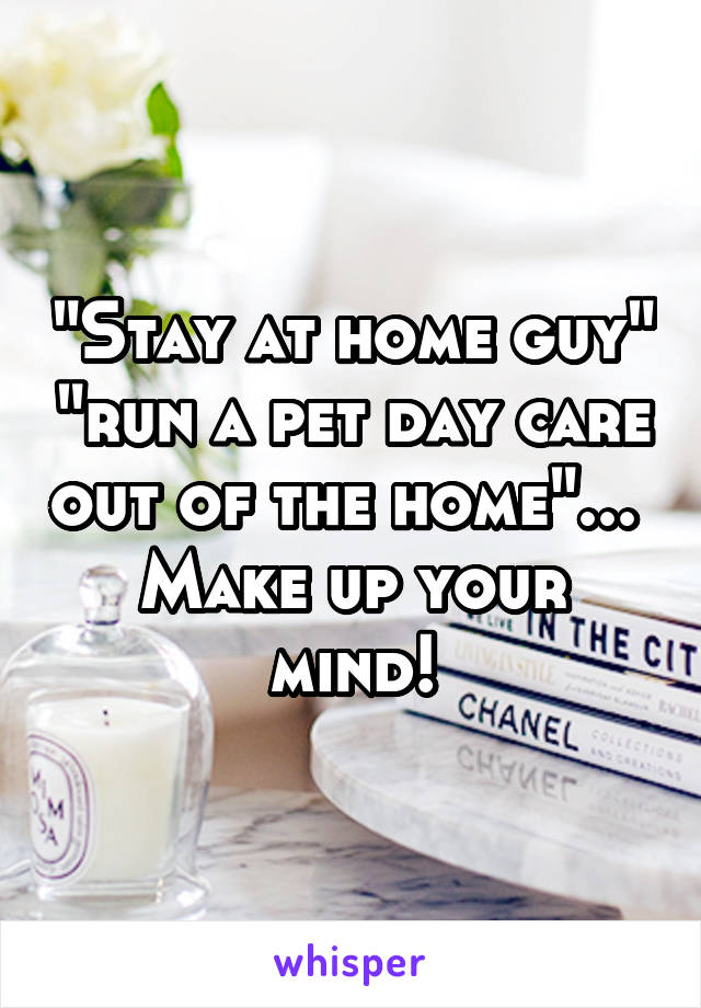 "Stay at home guy" "run a pet day care out of the home"... 
Make up your mind!