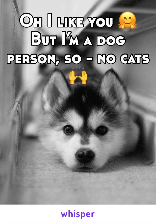 Oh I like you 🤗
But I’m a dog person, so - no cats 🙌
