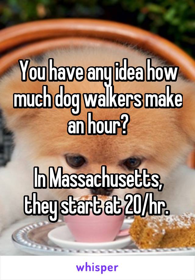 You have any idea how much dog walkers make an hour?

In Massachusetts, they start at 20/hr. 