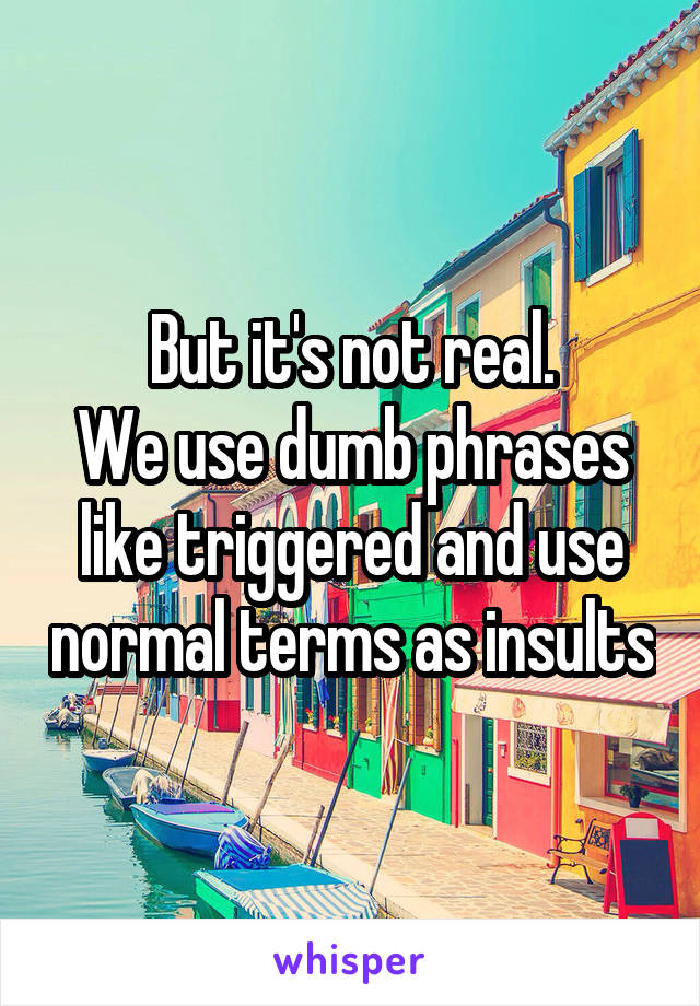 But it's not real.
We use dumb phrases like triggered and use normal terms as insults