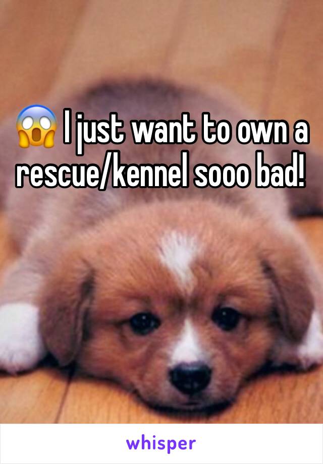 😱 I just want to own a rescue/kennel sooo bad! 