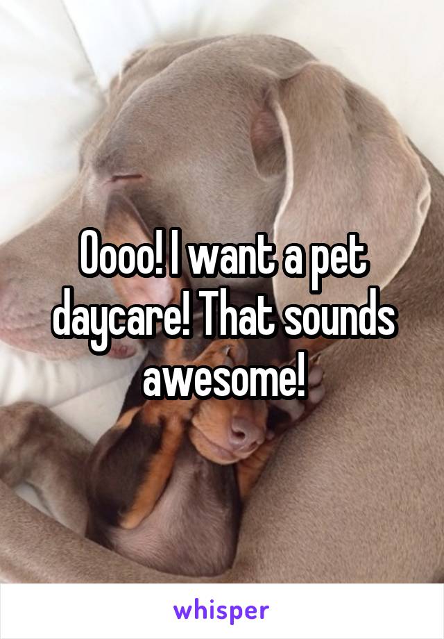 Oooo! I want a pet daycare! That sounds awesome!