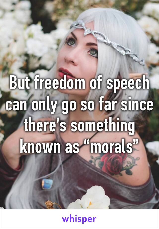 But freedom of speech can only go so far since there’s something known as “morals”