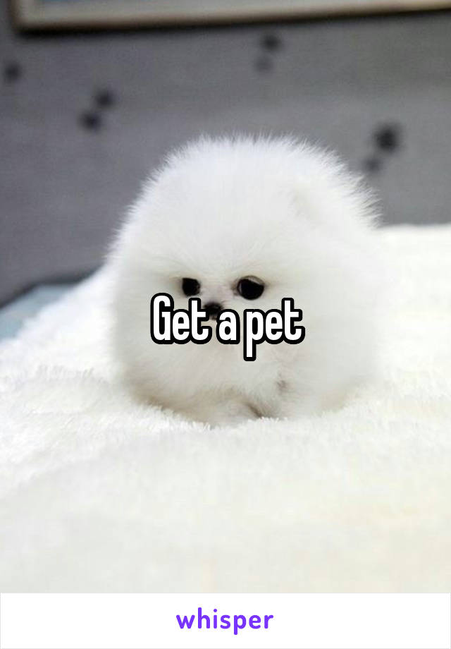 Get a pet