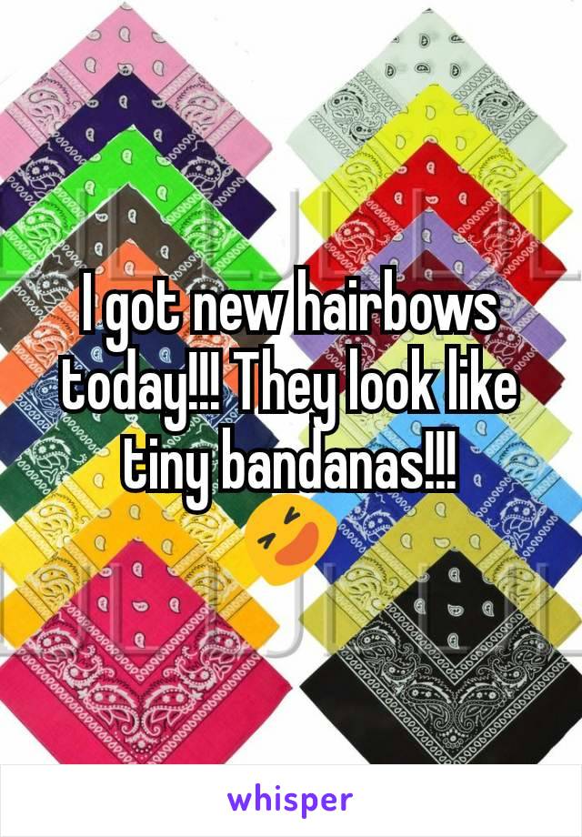 I got new hairbows today!!! They look like tiny bandanas!!!
🤣