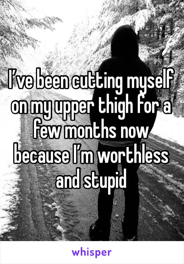 I’ve been cutting myself on my upper thigh for a few months now because I’m worthless and stupid 