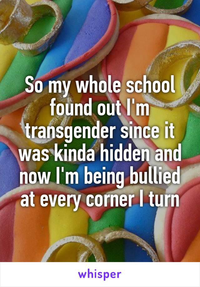 So my whole school found out I'm transgender since it was kinda hidden and now I'm being bullied at every corner I turn