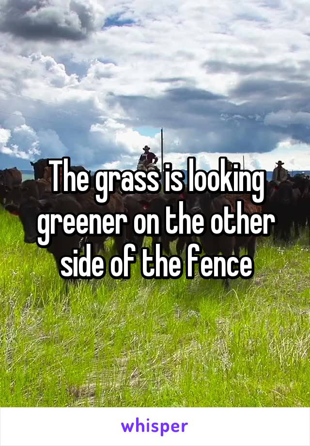 The grass is looking greener on the other side of the fence