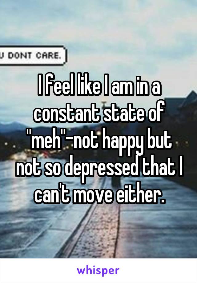 I feel like I am in a constant state of "meh"-not happy but not so depressed that I can't move either.