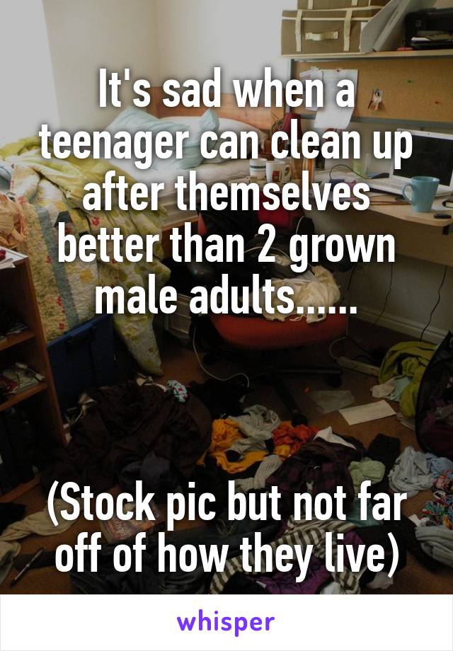 It's sad when a teenager can clean up after themselves better than 2 grown male adults......



(Stock pic but not far off of how they live)