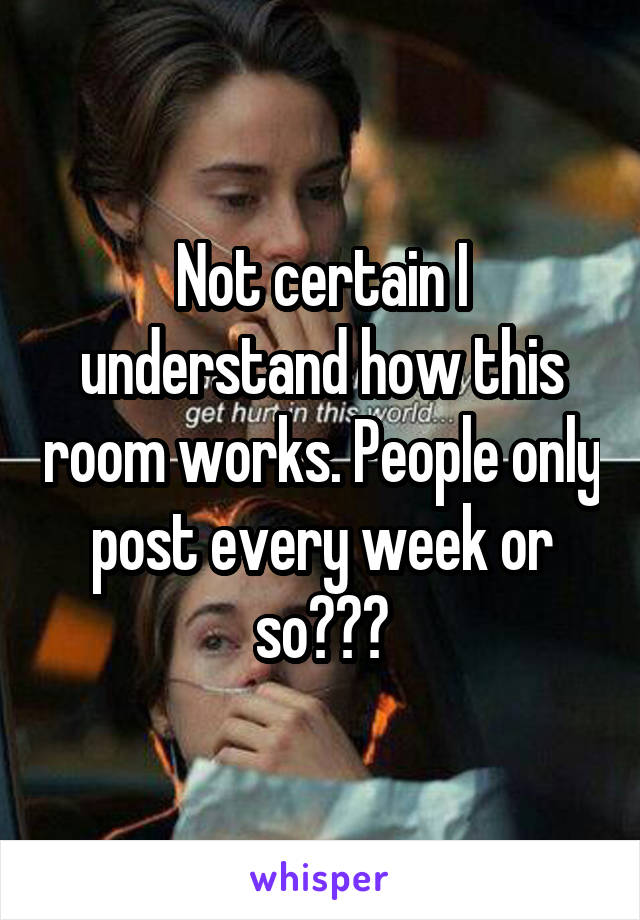 Not certain I understand how this room works. People only post every week or so???