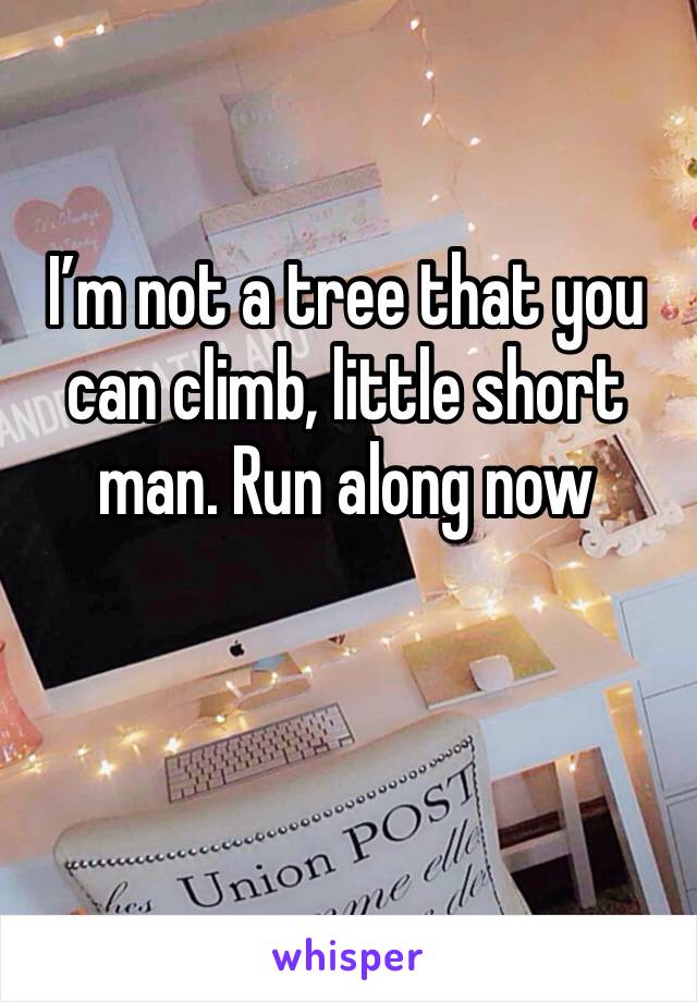 I’m not a tree that you can climb, little short man. Run along now 
