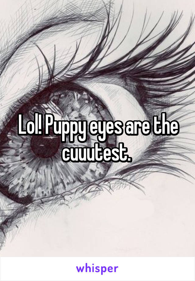 Lol! Puppy eyes are the cuuutest. 