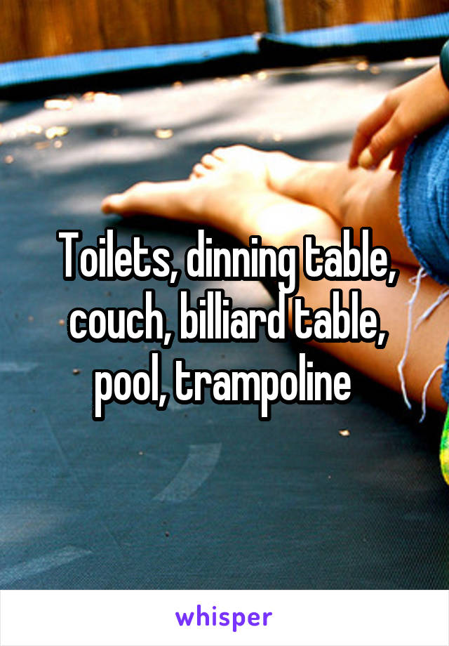 Toilets, dinning table, couch, billiard table, pool, trampoline 
