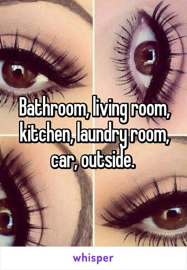 Bathroom, living room, kitchen, laundry room, car, outside. 