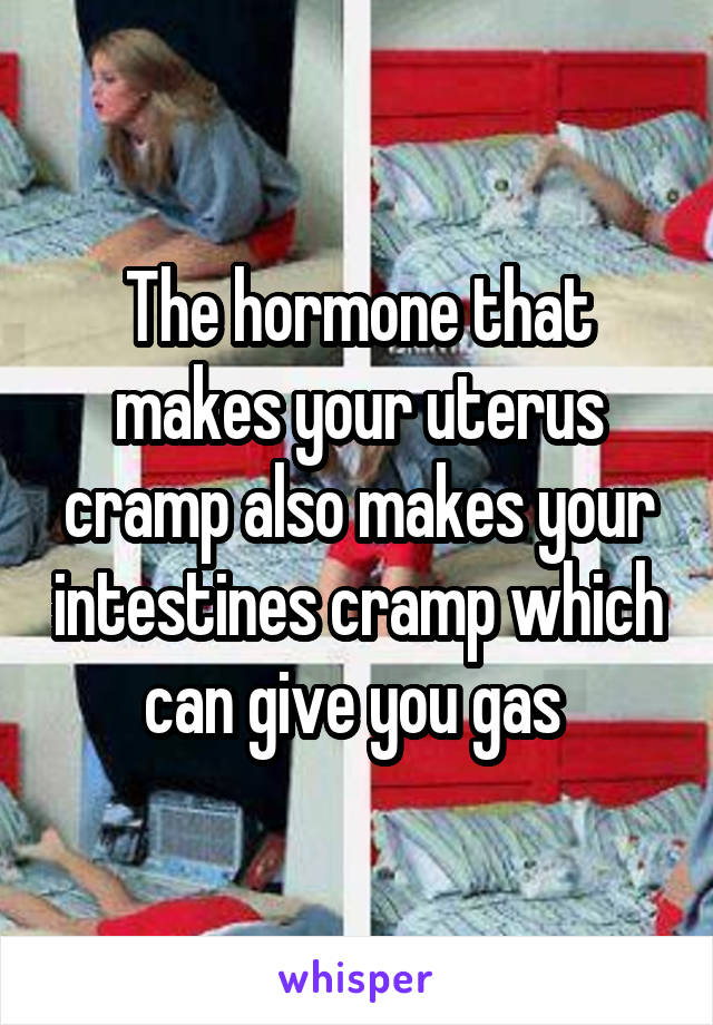The hormone that makes your uterus cramp also makes your intestines cramp which can give you gas 