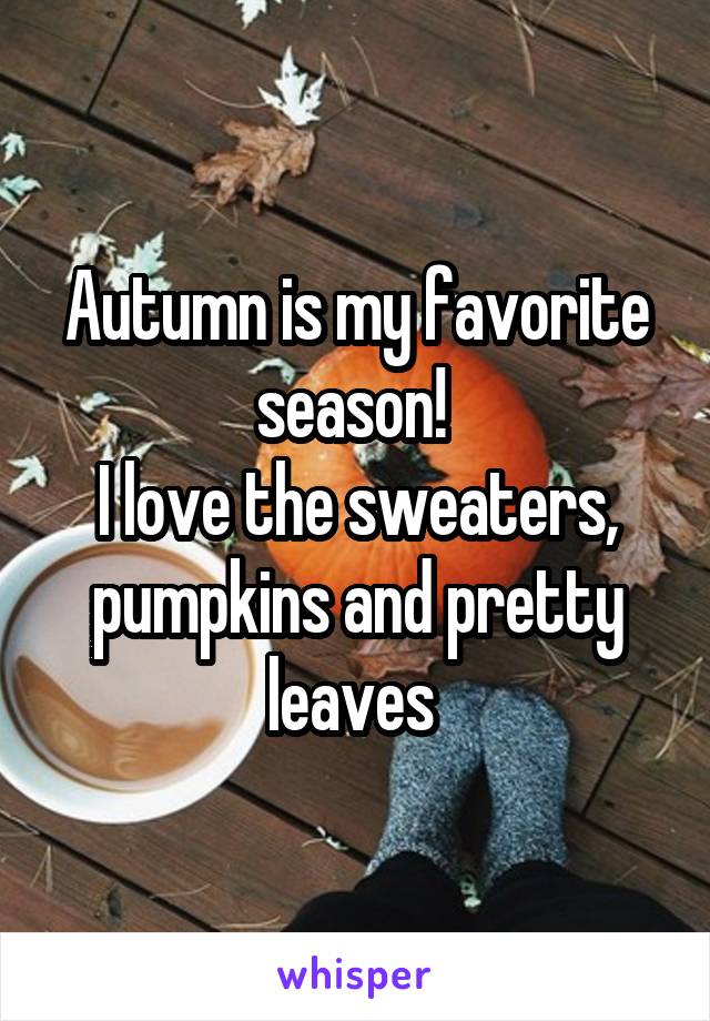Autumn is my favorite season! 
I love the sweaters, pumpkins and pretty leaves 