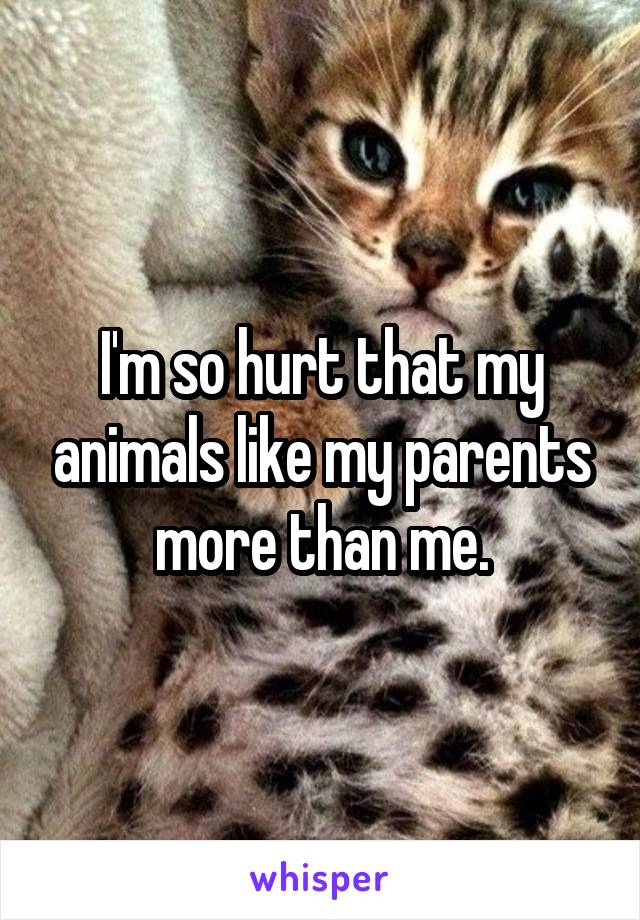I'm so hurt that my animals like my parents more than me.