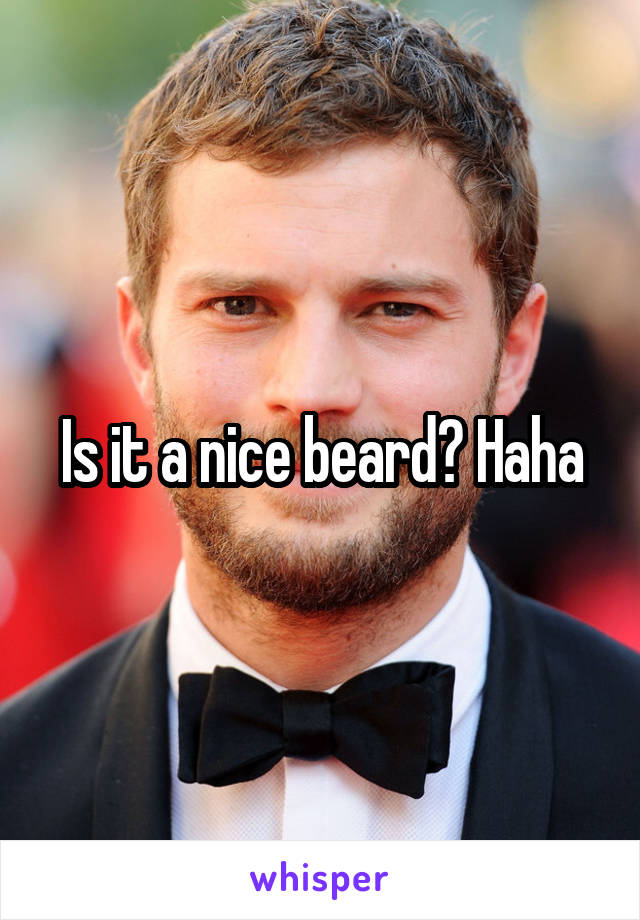 Is it a nice beard? Haha