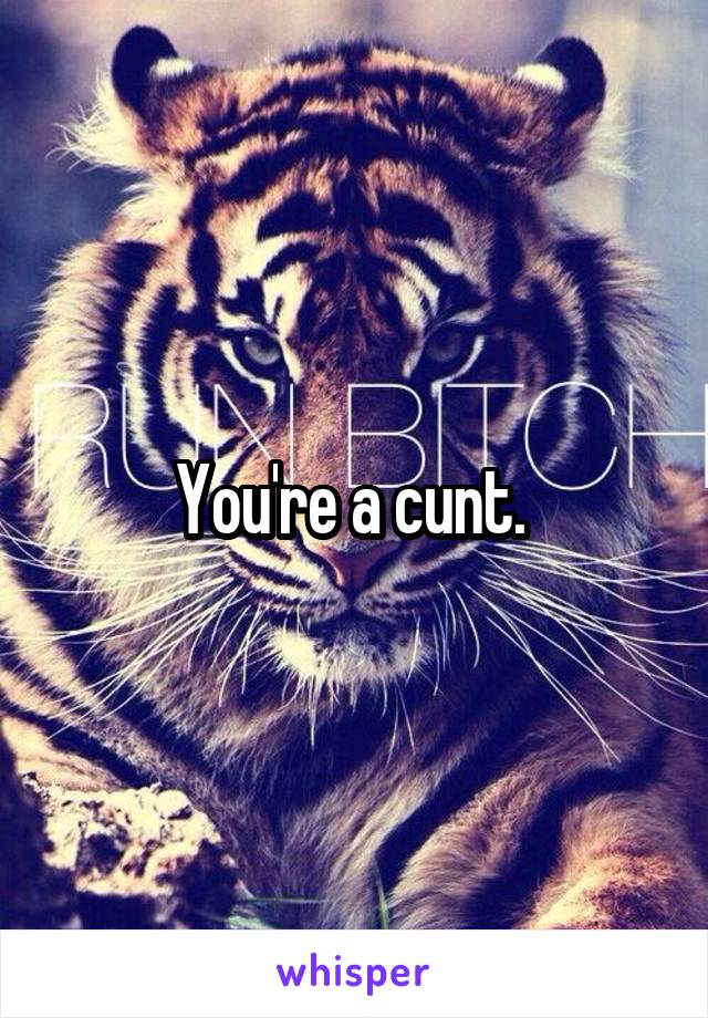 You're a cunt. 