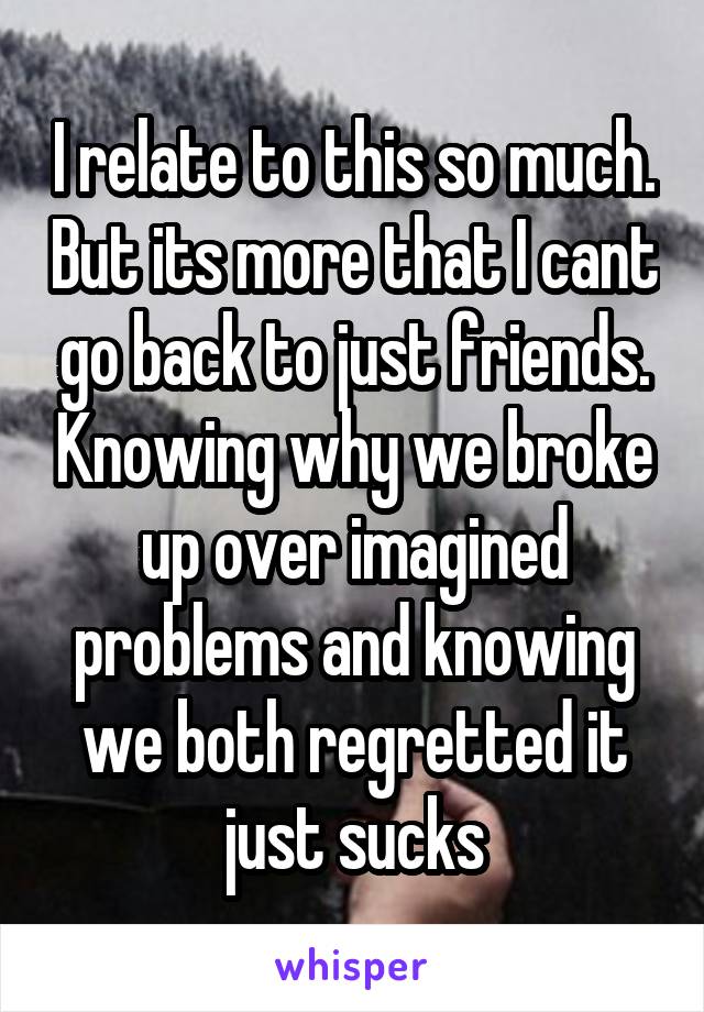 I relate to this so much. But its more that I cant go back to just friends. Knowing why we broke up over imagined problems and knowing we both regretted it just sucks