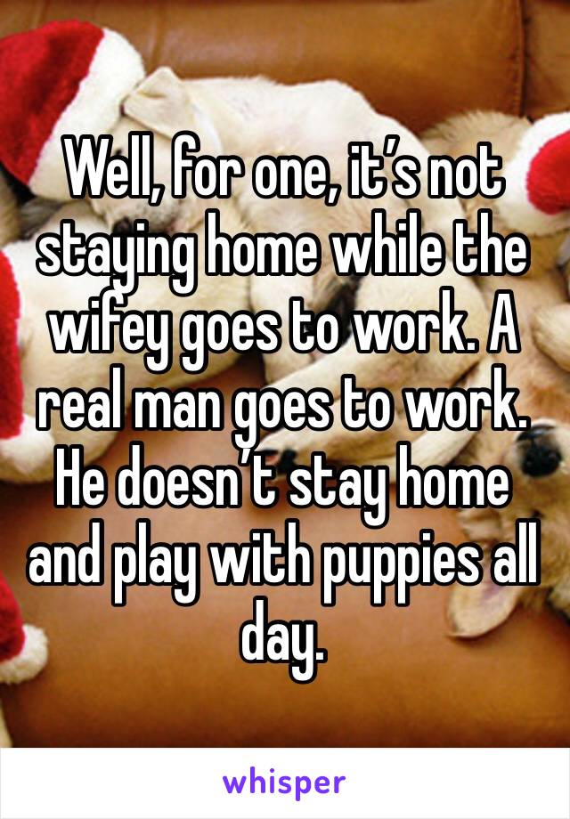 Well, for one, it’s not staying home while the wifey goes to work. A real man goes to work. He doesn’t stay home and play with puppies all day. 