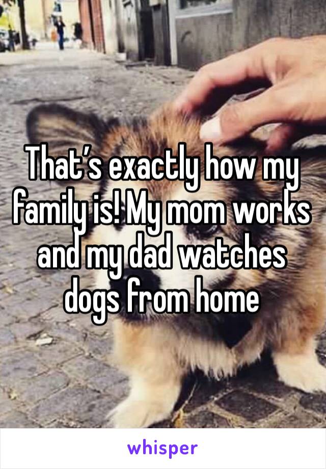 That’s exactly how my family is! My mom works and my dad watches dogs from home